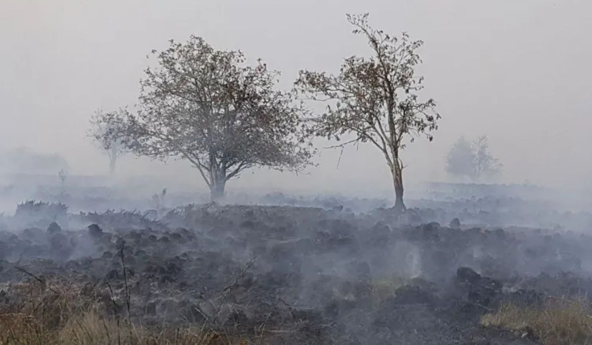 बेल्जियमको प्राकृतिक आरक्षमा भीषण डढेलो